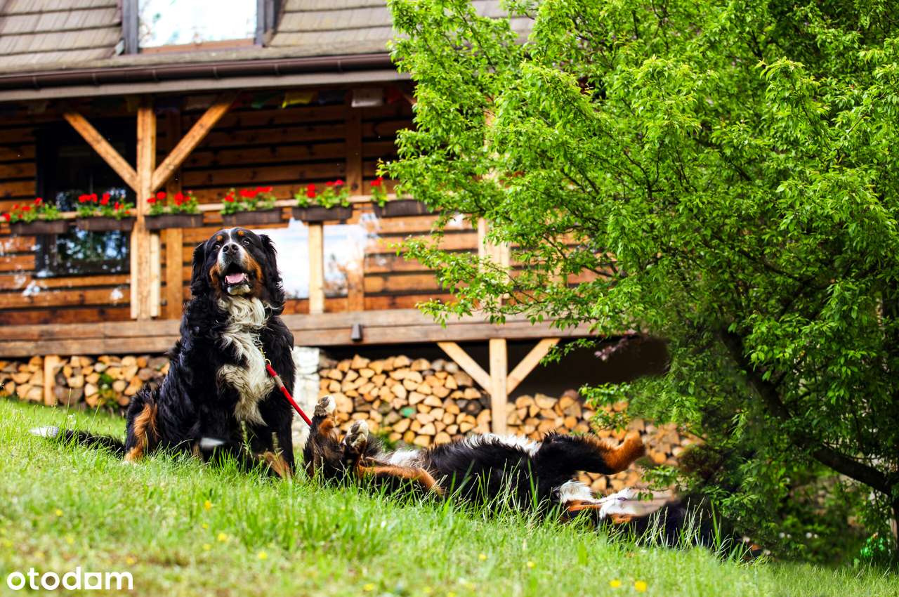 Jurajski Pensjonat Marzeń | Urok Przyrody i Komfort | 1 ha-5