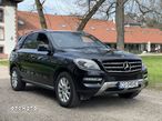 Mercedes-Benz ML 350 BlueEff 4-Matic - 5