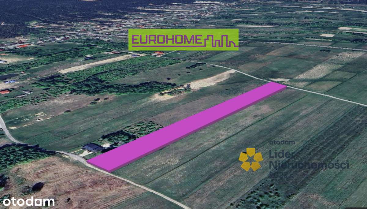 Duża działka 91,15 ar – świetna lokalizacja ! - Pełny obrazek: 4/6