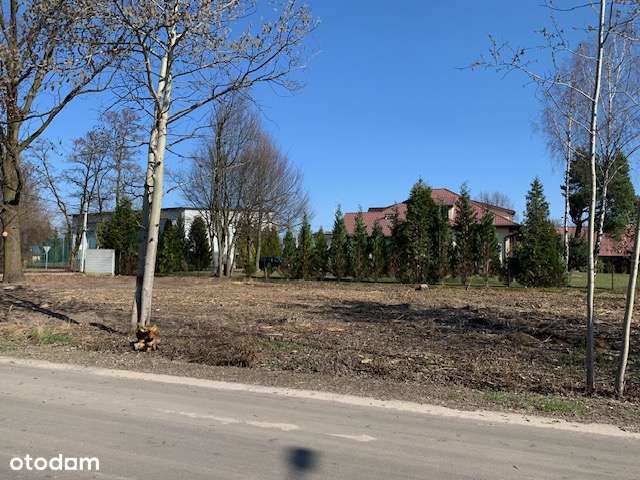 Działka z pięknym Dębem  60 km od Warszawy!!!-2