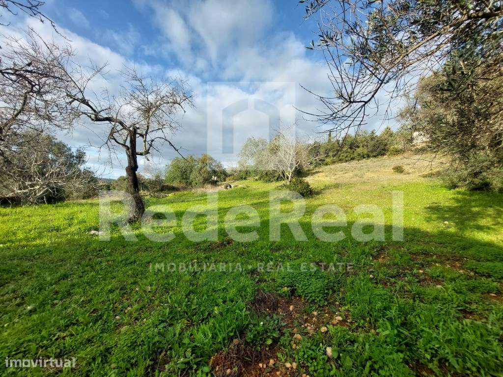 Terreno rústico com 6160m2 nos Gorjões - Grande imagem: 2/10