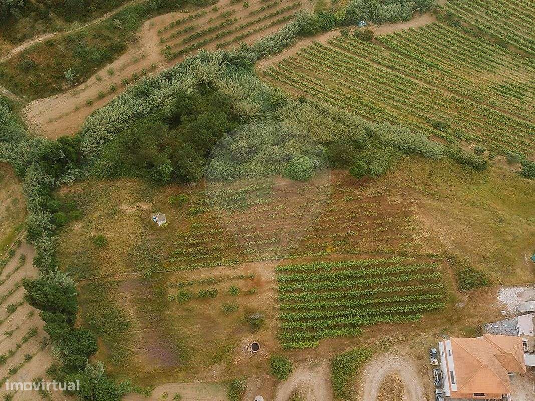 Terreno  para venda - Grande imagem: 5/13