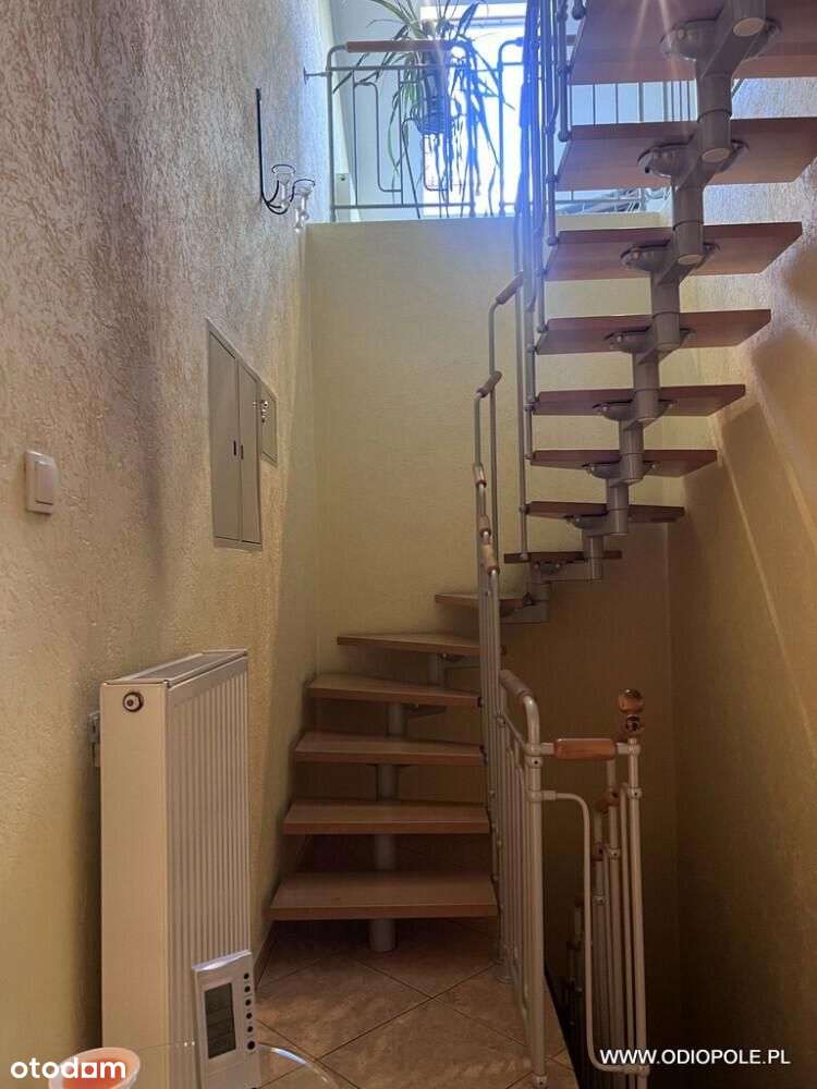 Wyjątkowy dom Odi/2496-7