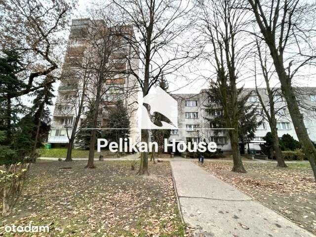 Dwa pokoje z oddzielna kuchnia metro Natolin-19