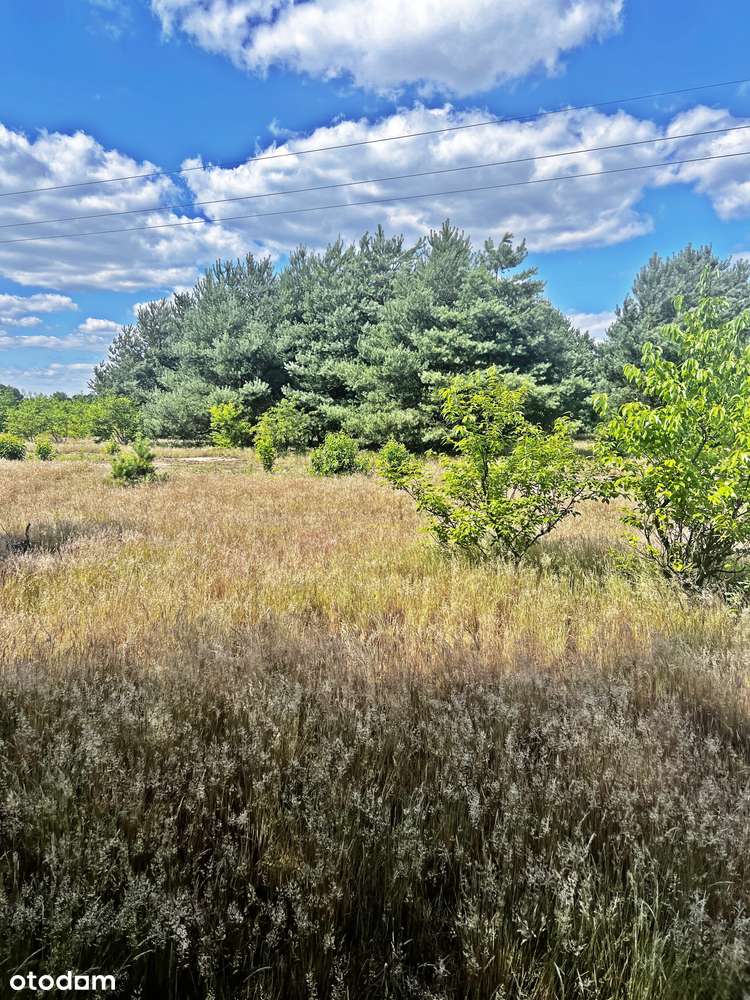 Wyłączność najtańsze działki z WZ w Z.Górze-1