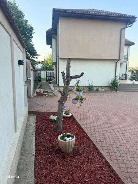 Casa Lapus Arges Rovine - Imagine principală: 5/5