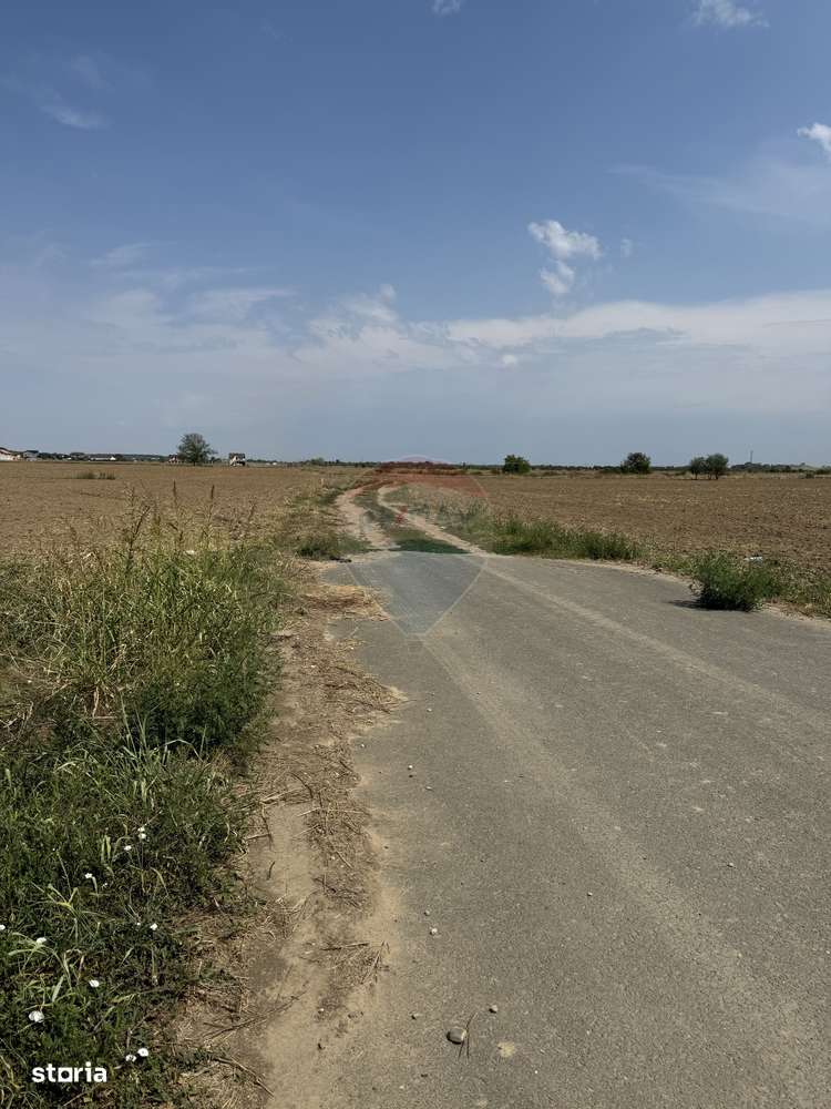 Teren intravilan de vanzare 18E mp ,Ciorogarla.Ilfov - Imagine principală: 3/4