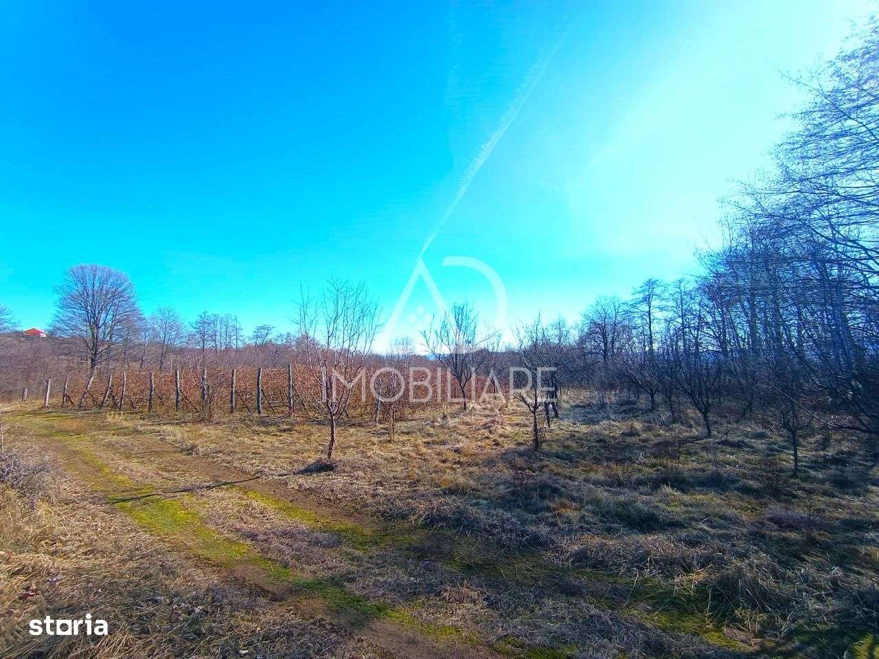 Teren intravilan - Crasna - Imagine principală: 4/8