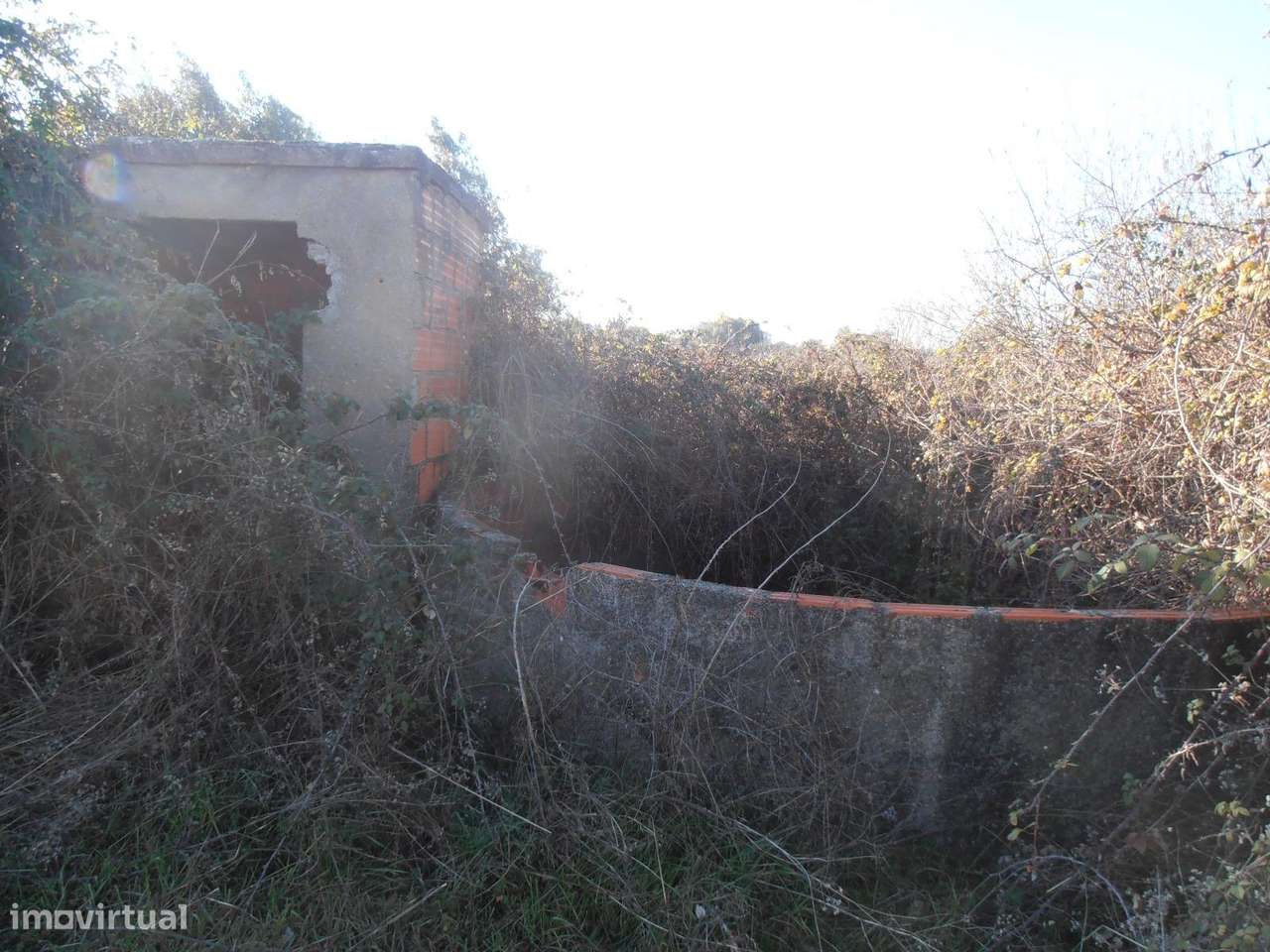 Quinta-9
