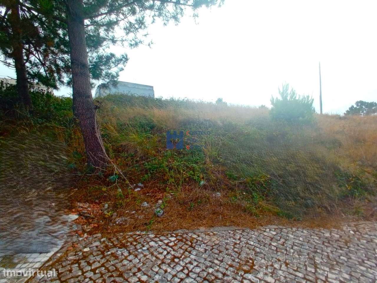 Lotes para construção em Famalicão, Nazaré-14