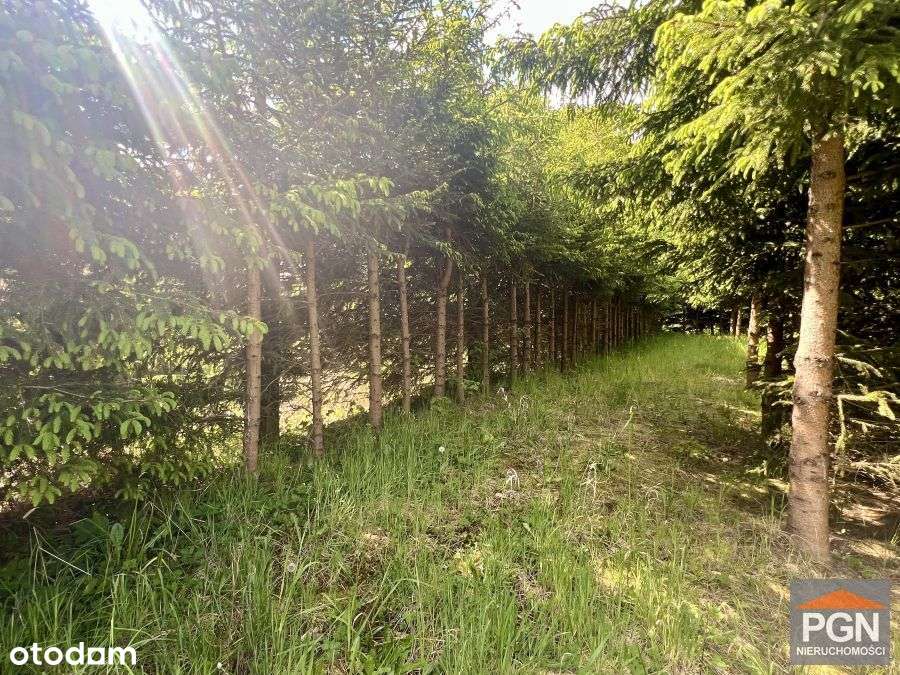 Domek na Dużej Działce Blisko Kamienia Pom - Pełny obrazek: 4/20