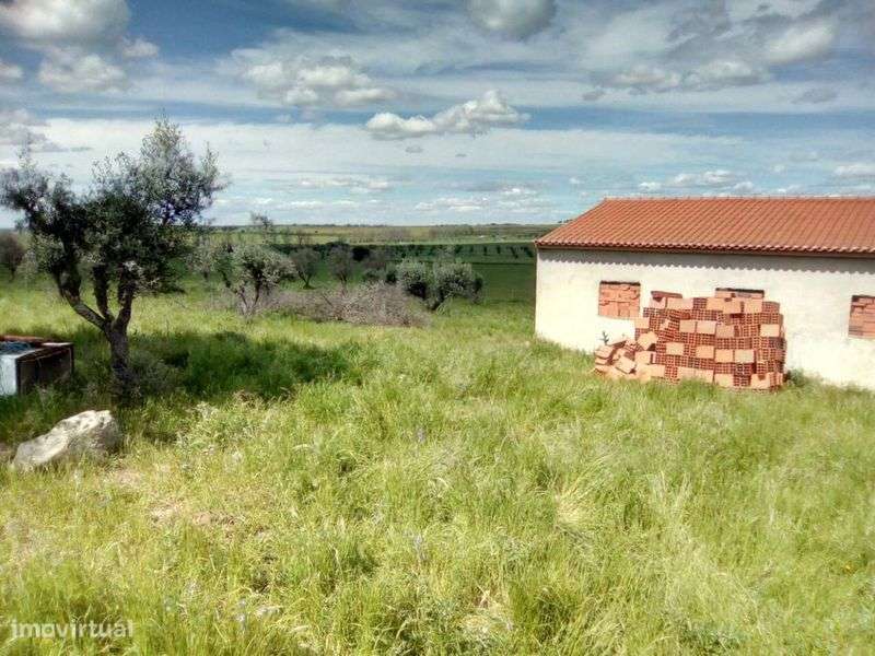 Monte alentejano Alter do Chão - Grande imagem: 4/12