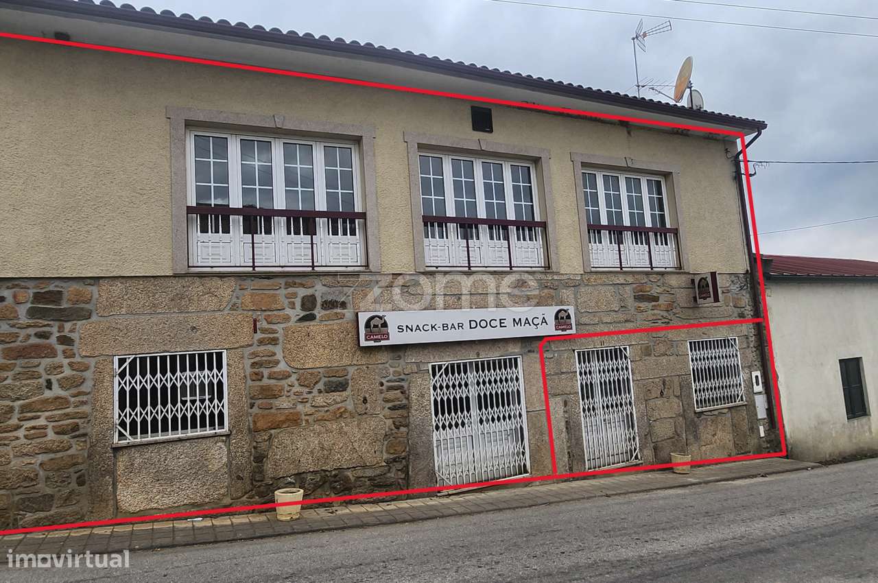 Oportunidade Única de Investimento no Coração do Douro Vinhateiro! - Grande imagem: 1/19