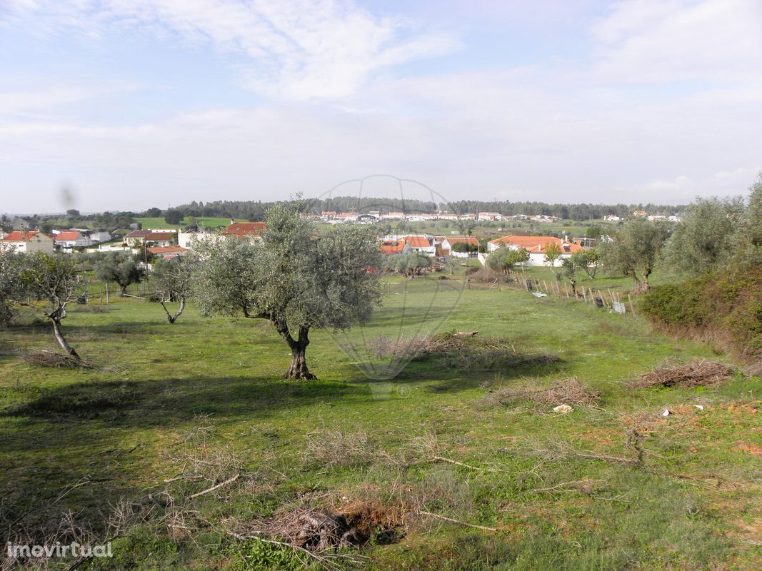 Terreno  para venda