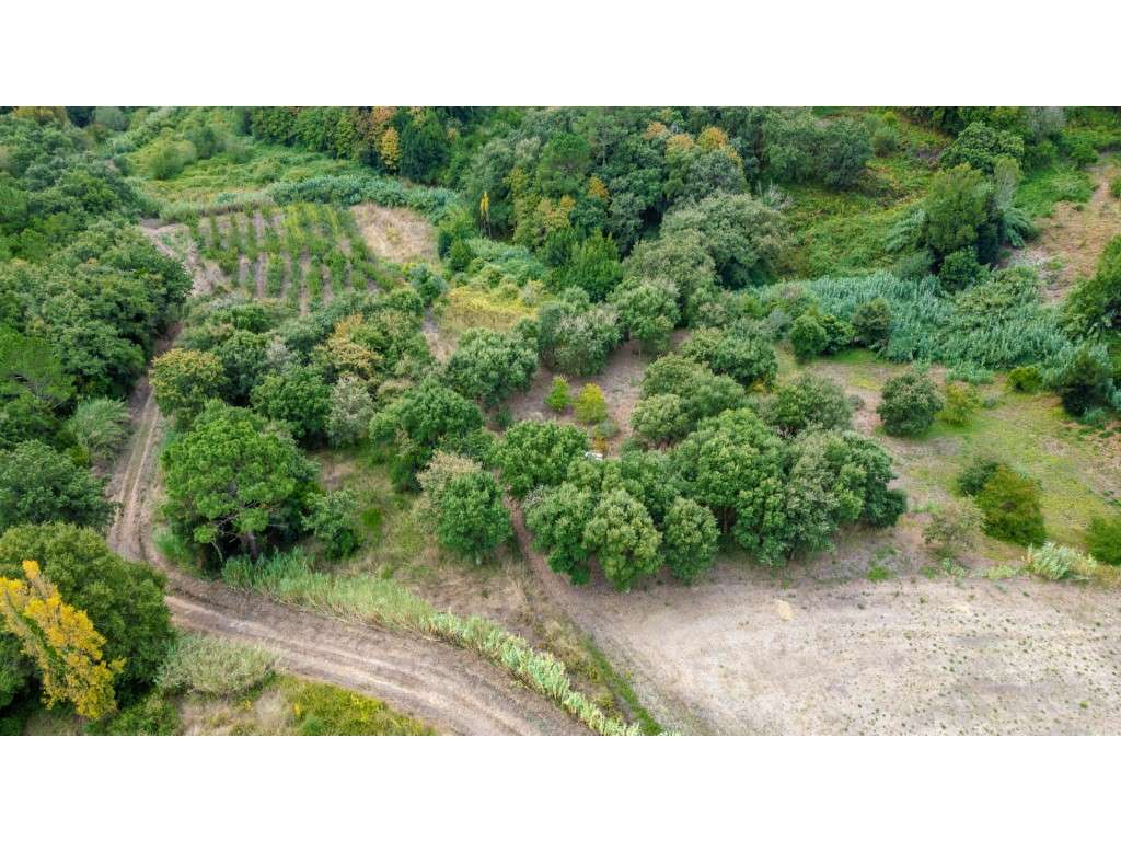 Terreno com localização privilegiada e vista maravilhosa - Grande imagem: 5/14