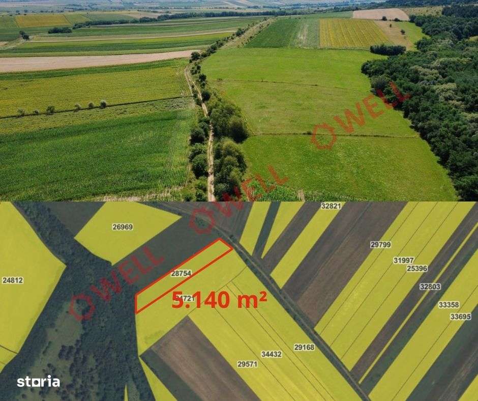 De vânzare 8 parcele de teren extravilan în apropierea loc. Măgheruș! - Imagine principală: 4/7