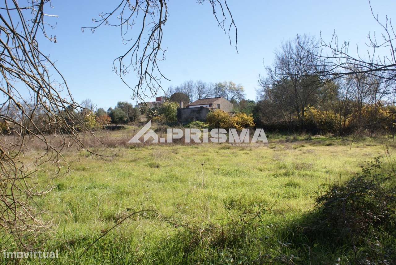 Oportunidade Única às Portas de Castelo Branco!-20