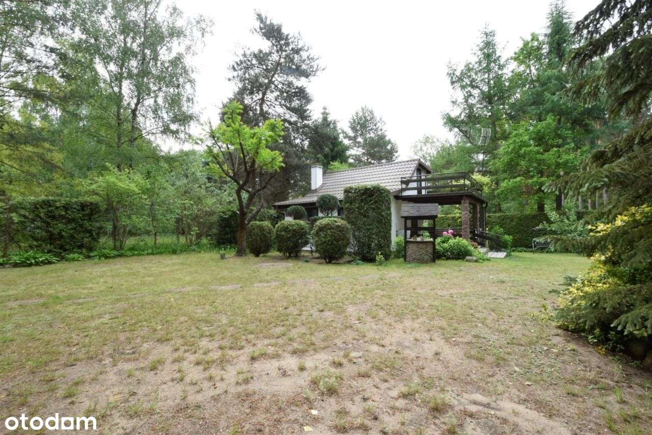 Domek letniskowy w lesie nieopodal Wkry - Pełny obrazek: 4/19