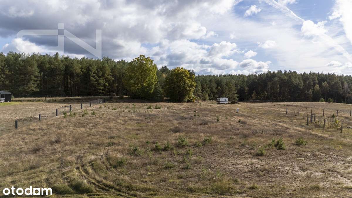 Działka z domem na Kaszubach | 1162 m²-5