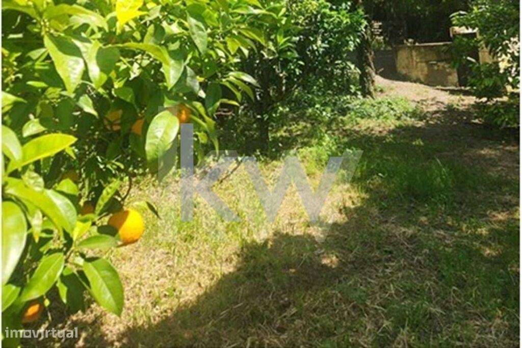 Terreno Urbano em Carcavelos para Venda - Grande imagem: 4/10