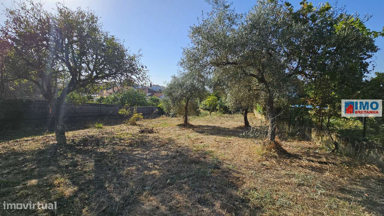 Moradia V6 c/ Quintal - Maxiais - 10 min de Castelo Branco-31