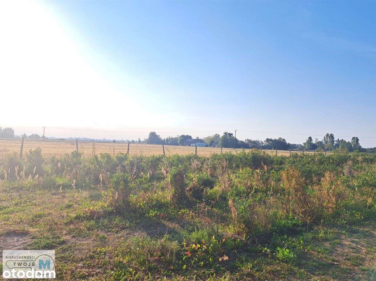 Działka rolno-bud. w terenach upraw sadowniczych! - Pełny obrazek: 4/4