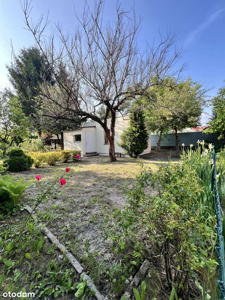 Zielona| Cicha| Ustawna | Działka ROD 220 m2 | Domek 30m2| Włochy-13