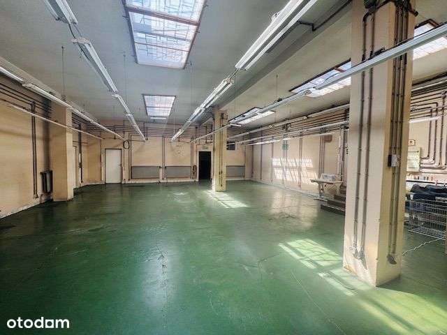 Parterowy obiekt na sprzedaż obrzeża Teofilowa-2