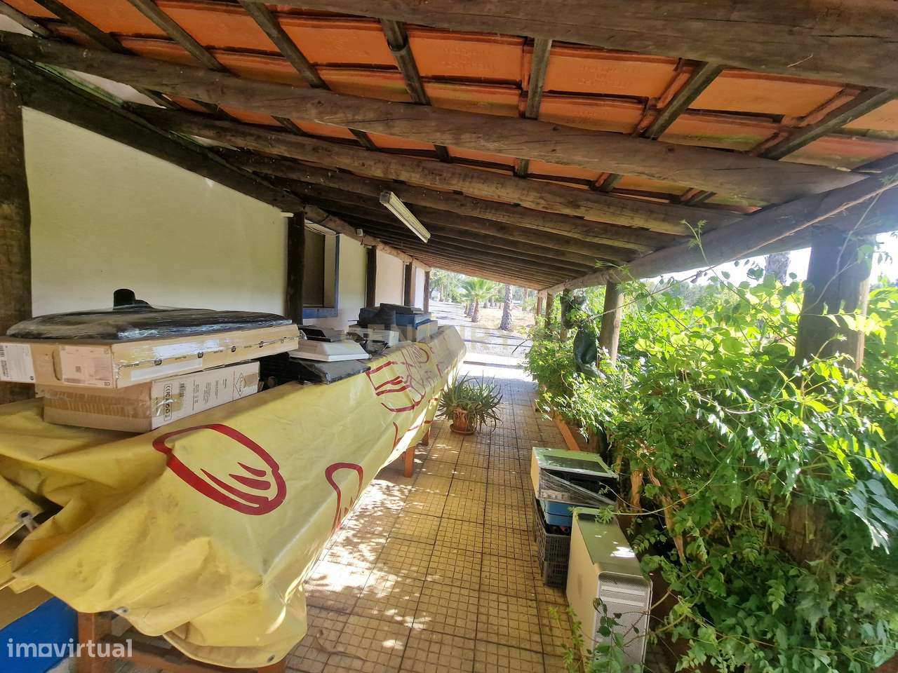 Quinta/Monte, em Casa Nova - São Domingos - 5ha - Grande imagem: 4/38