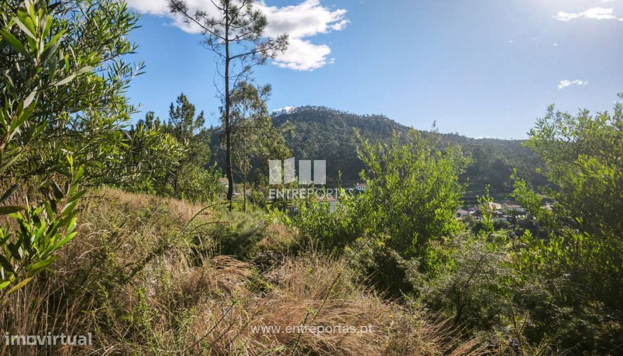Venda de Terreno de construção em Outeiro, Viana do Castelo. - Grande imagem: 5/21