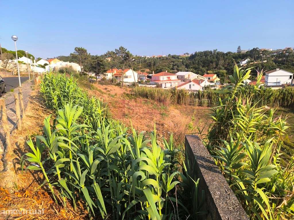 ERICEIRA - FONTE BOA DOS NABOS - LOTE DE TERRENO URBANO COM 330 M2-14