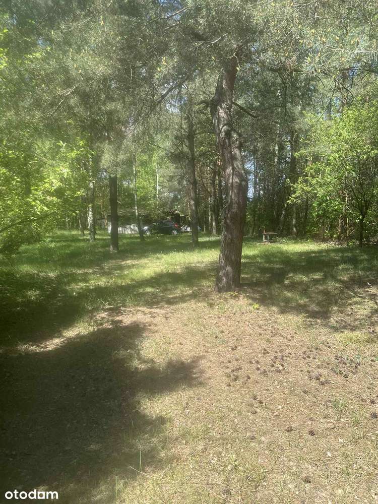 Działka budowlana 1380 m² w atrakcyjnej lokalizacji Bartolin 4d - Pełny obrazek: 5/6