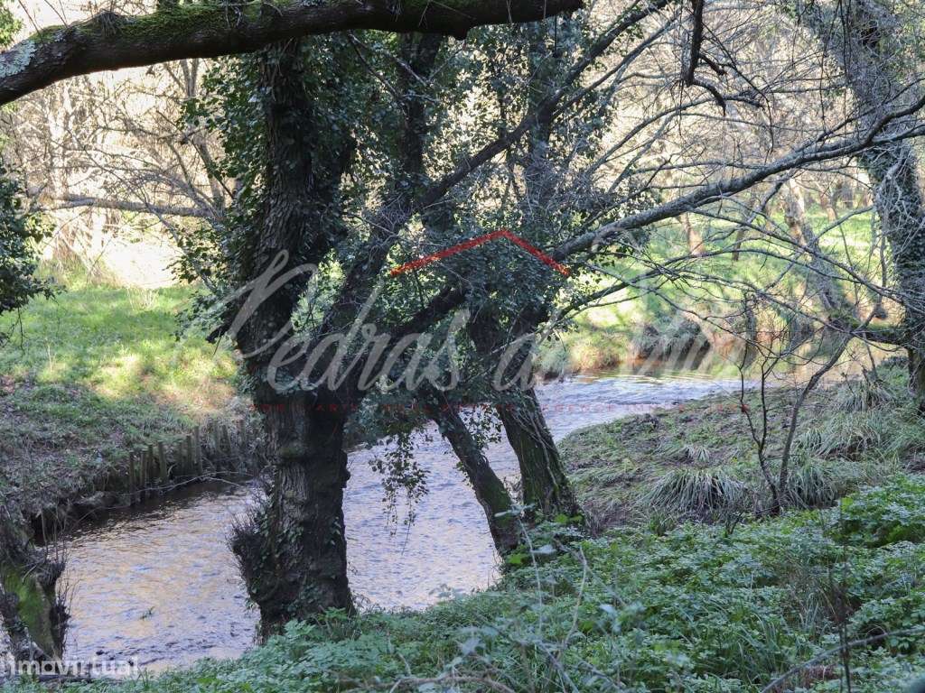 Monte Alentejano de 36ha com 3 ruinas - Pego das Pias - Odemira-9