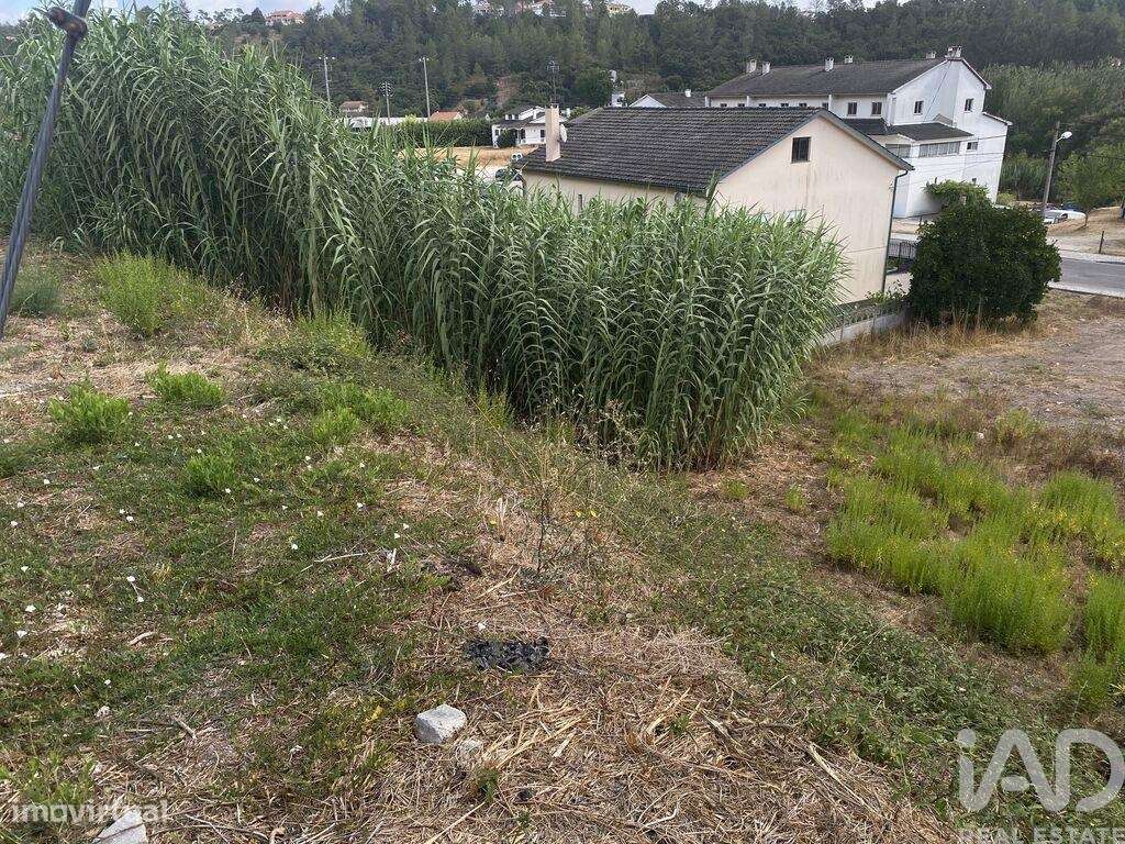 Terreno para construção em Nossa Senhora da Piedade de 400,00 m2 - Grande imagem: 5/7