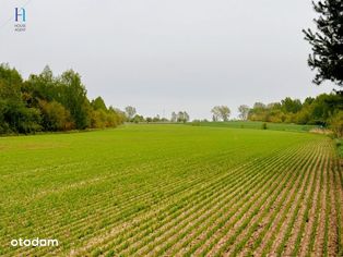 Działka rolno-budowlana w Tuszynie