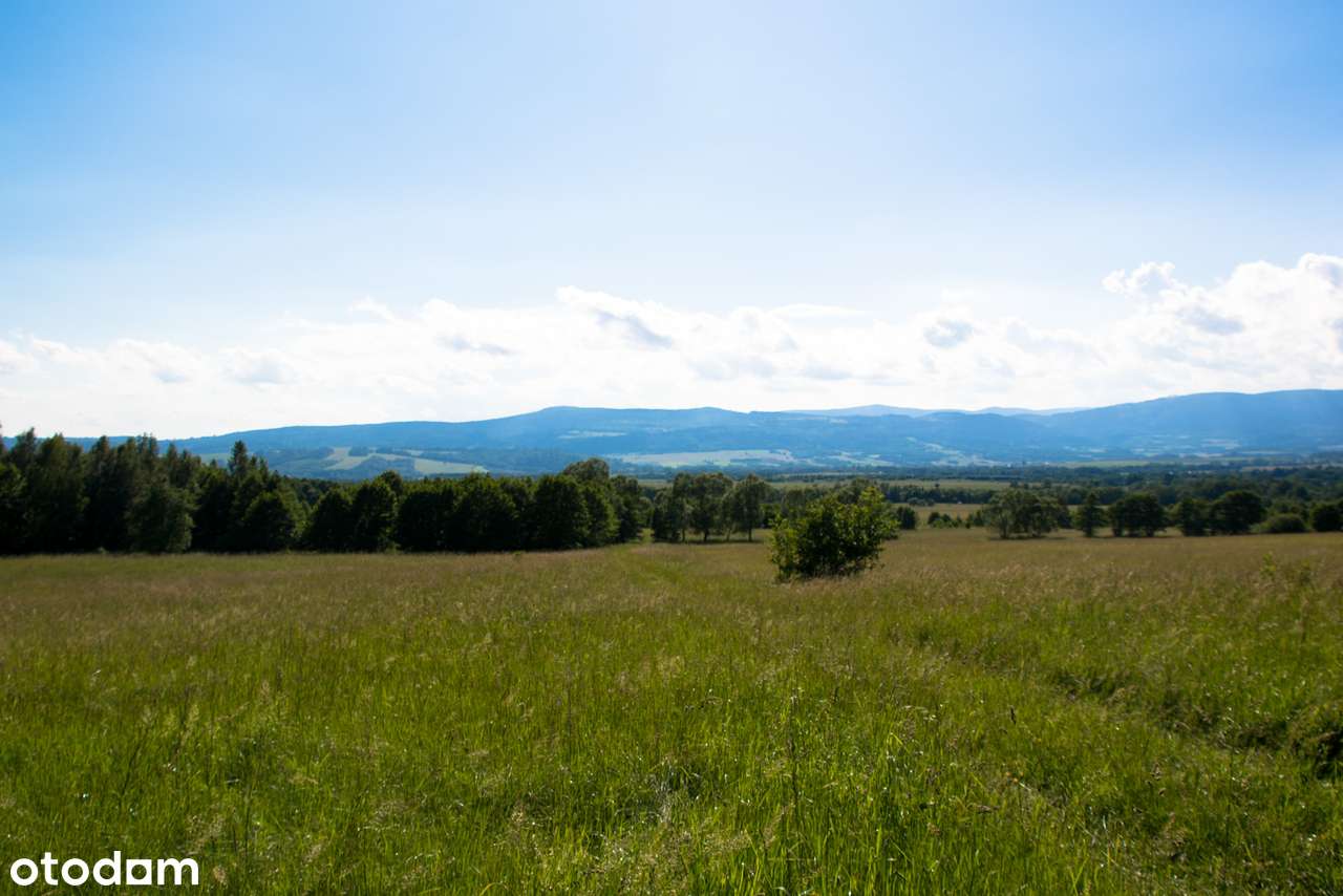 Działka z przepięknym widokiem na las i góry - możliwość negocjacji - Pełny obrazek: 4/11