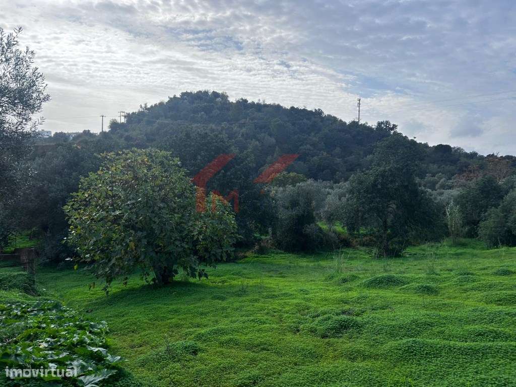 Terreno urbano com vista campo - Salir - Grande imagem: 5/8