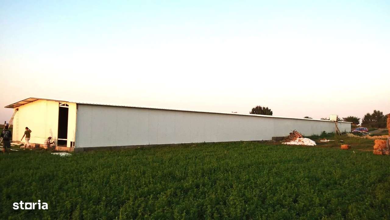 Ferma de gaini ouatoare in sistem free-range | 45.000 mp teren-0