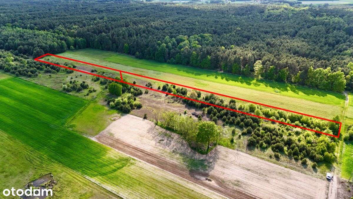 Sielsko i inwestycyjnie – 1,4 ha blisko Warszawy-5