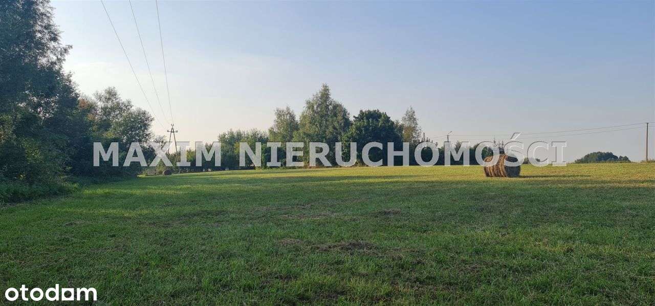 Działka nad samą rzeką "Raciążnica" w Sarbiewie - Pełny obrazek: 5/12