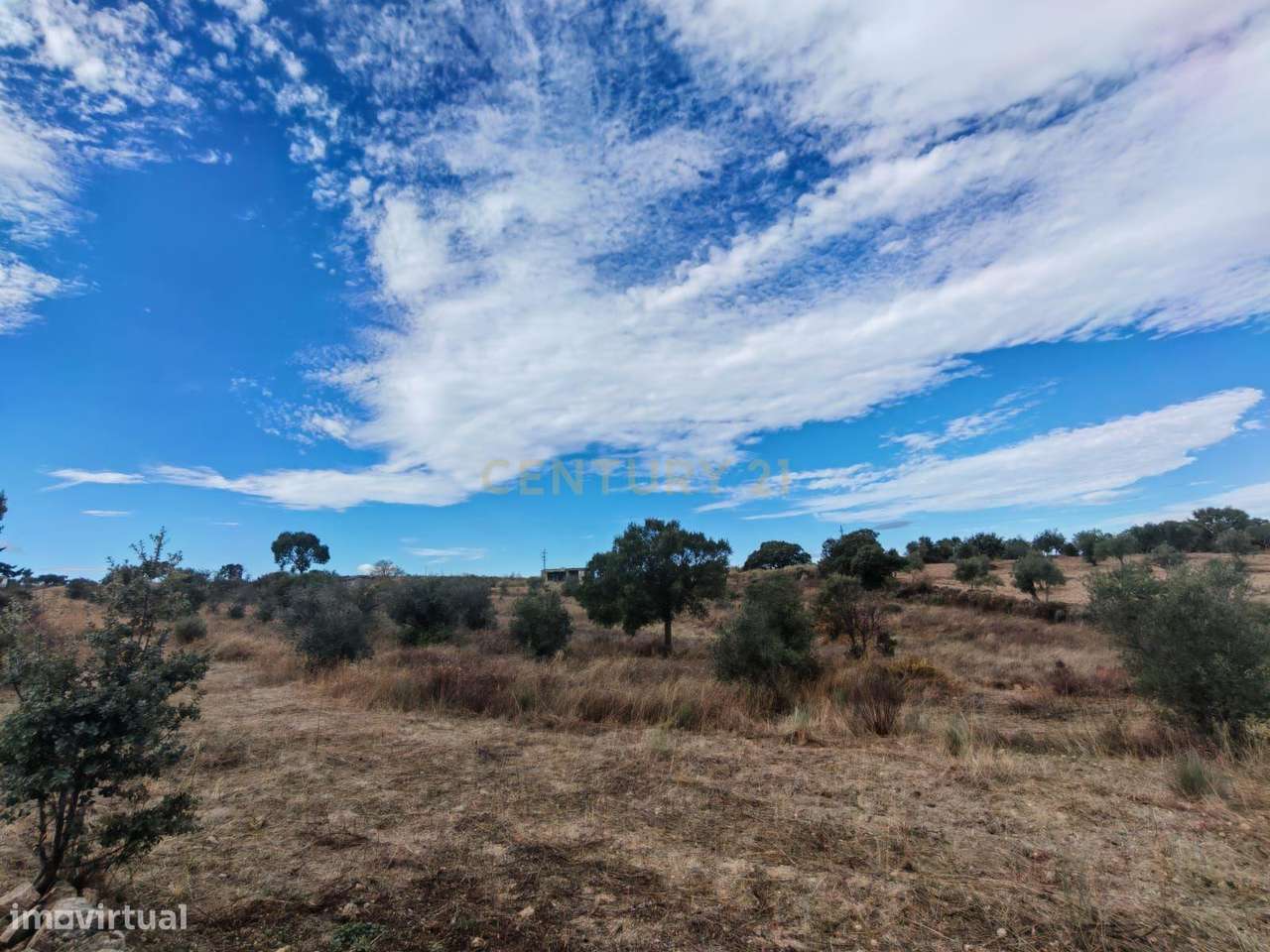 Terreno Rústico em Lousa , Castelo Branco - Grande imagem: 4/12