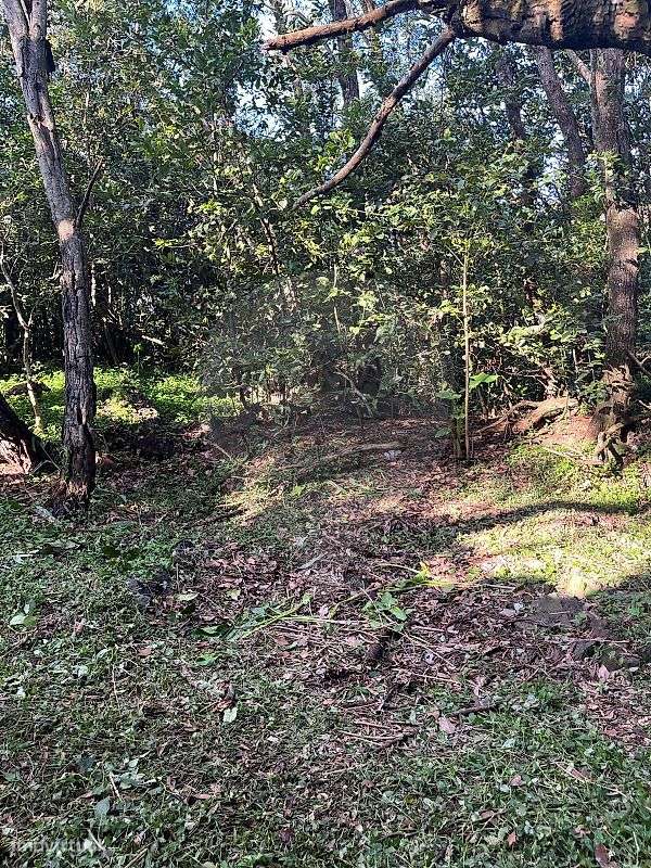 Terreno  para venda - Grande imagem: 5/7