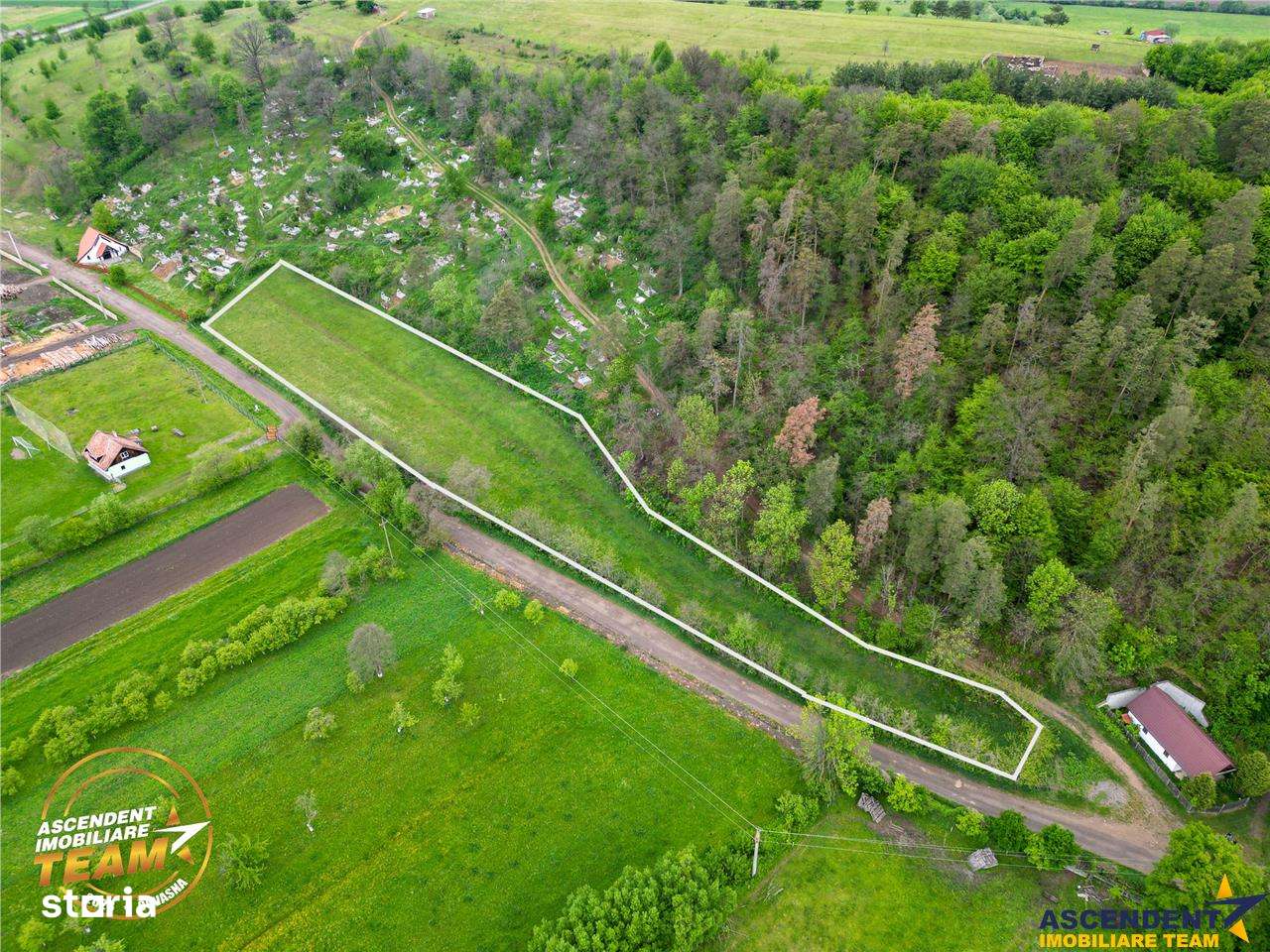 FILM! Teren intravilan,  6.500 mp, Papauti, Covasna - Imagine principală: 4/7