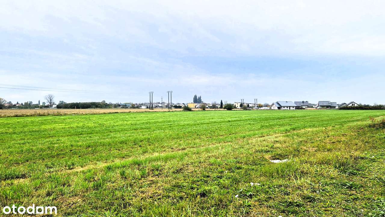 Działka inwestycyjna 8134 m² produkcja, usługi, magazyny, handel-1