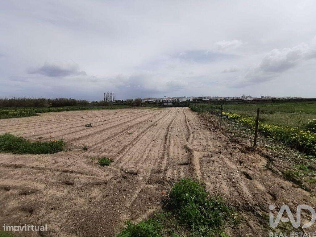 Casa / Villa T2 em Montenegro de 60,00 m2 - Grande imagem: 3/6