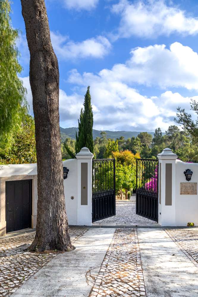 Timeless Elegance  - Sintra-44