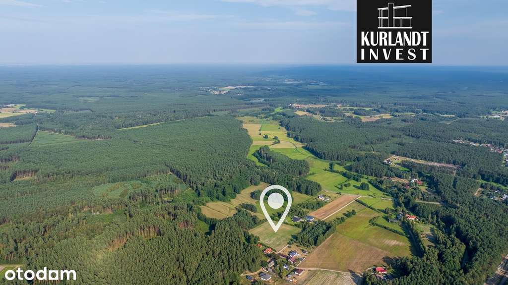 Działka budowlana 3153m² w sercu Borów Tucholskich - Pełny obrazek: 5/11