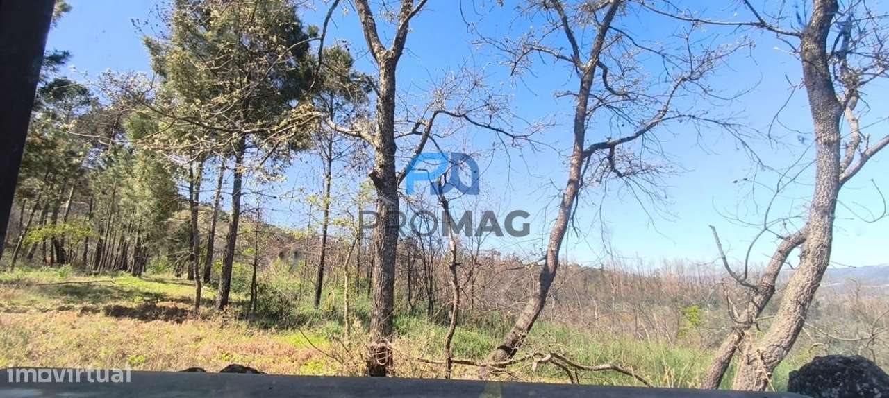 Quinta com 3 artigos urbanos, piscina e 9,4 ha em Resende-45