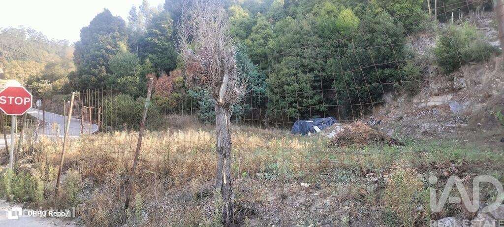 Terreno para construção em Luzim e Vila Cova de 3630,00 m2 - Grande imagem: 4/23