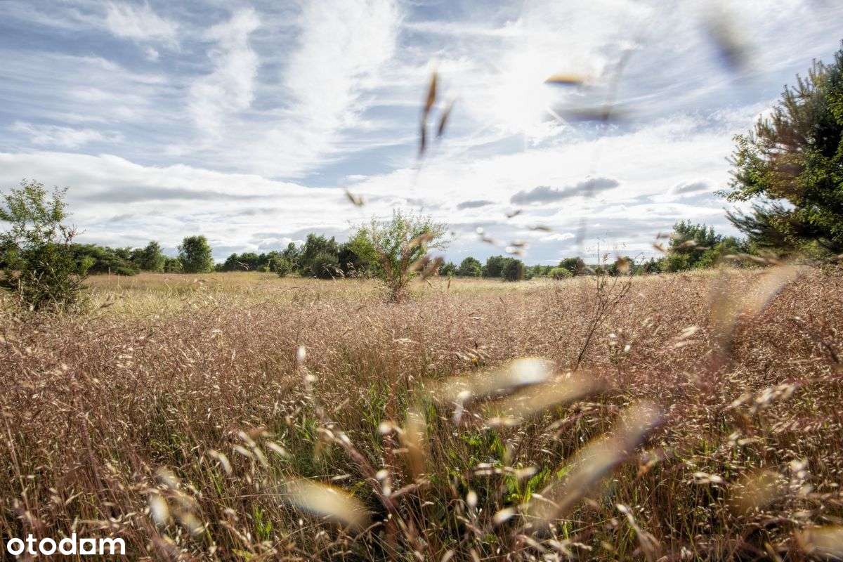 Działka w spokojnej okolicy 5 km od morza / Sarbsk - Pełny obrazek: 3/9